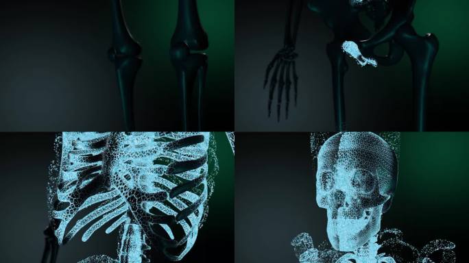 Sceleton。抽象的形象。扫描。特写镜头。