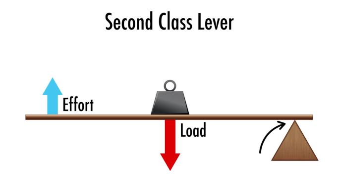 第二类杠杆:物理科学动画