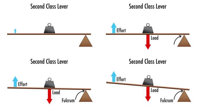 第二类杠杆:物理科学动画