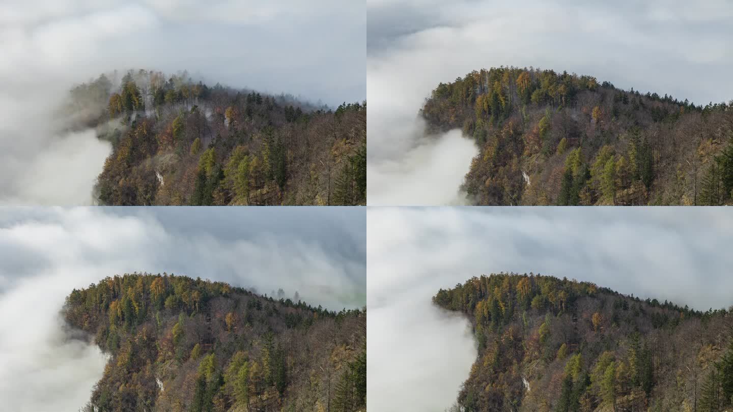 时光流逝，白烟云扫过山间。烟云或雾在山上翻滚。在高海拔山脉的山谷之上的云海。阿姆登，圣加仑州，