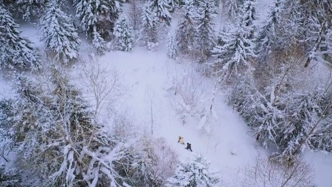 雪中艰难行走的两个男人