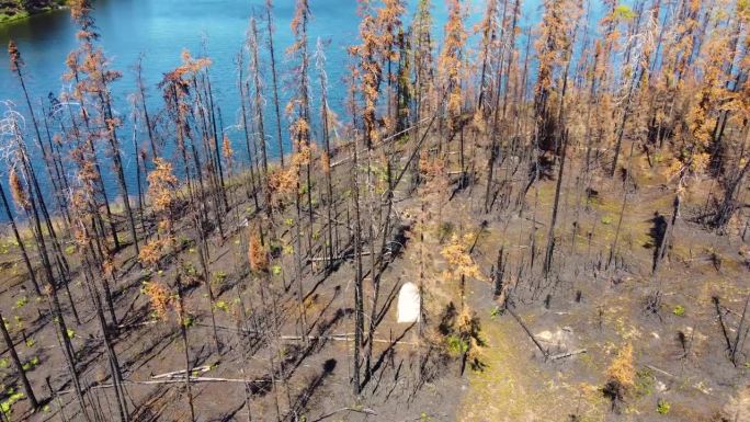 在全国创纪录的森林火灾季节，无人机观察了曲海省历史上最大的森林火灾的影响