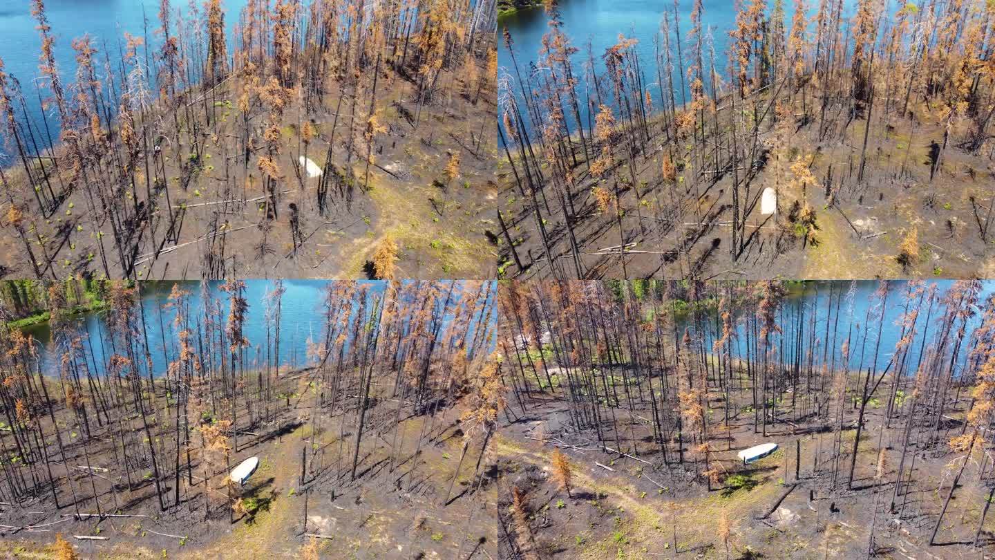 在全国创纪录的森林火灾季节，无人机观察了曲海省历史上最大的森林火灾的影响