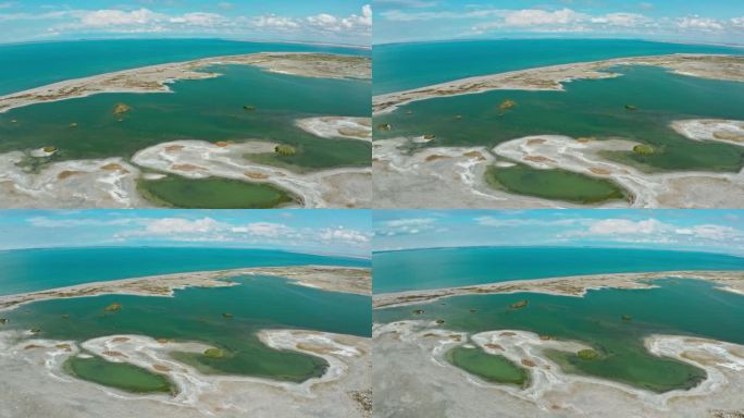 乌伦古湖候鸟湿地保护区
