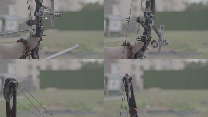 射箭 训练 残疾人 运动会 省运会