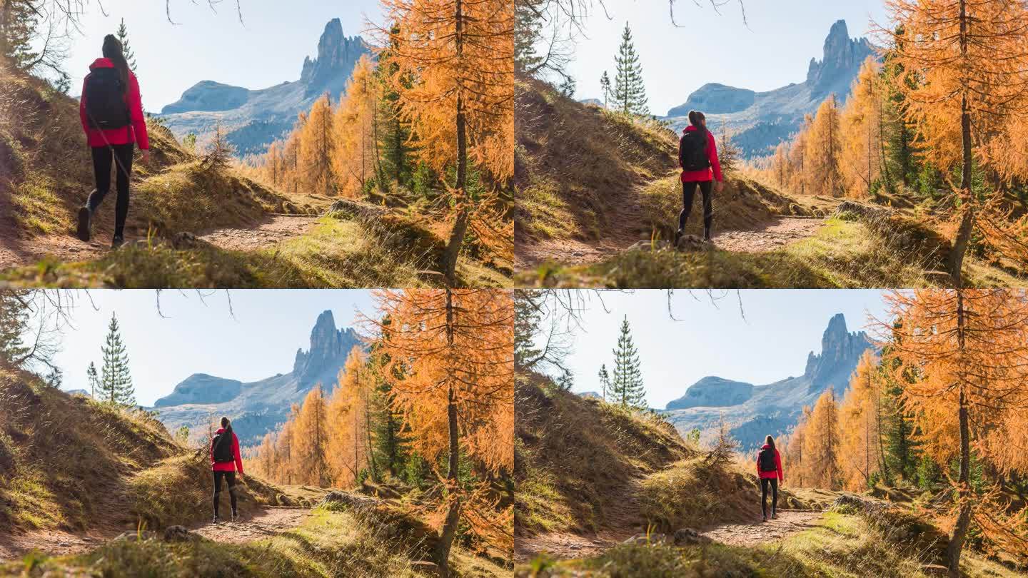 秋天在山间小径徒步旅行的女性