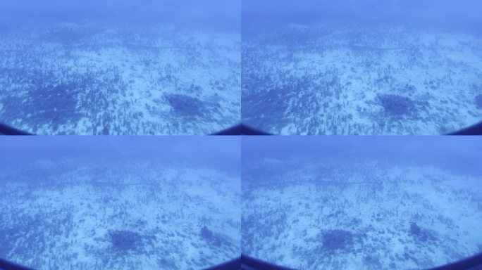 从潜艇舷窗拍摄夏威夷海岸海底生长的海草。30fps的4K HDR