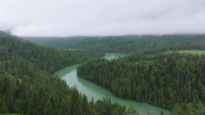 航拍夏季新疆喀纳斯月亮湾风景