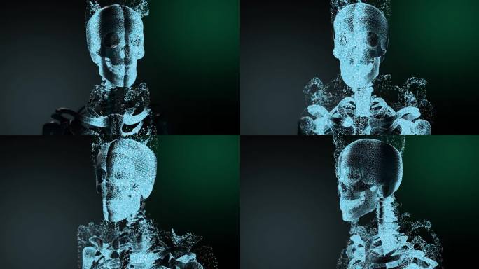 Sceleton。抽象的形象。扫描。摄像机飞过。