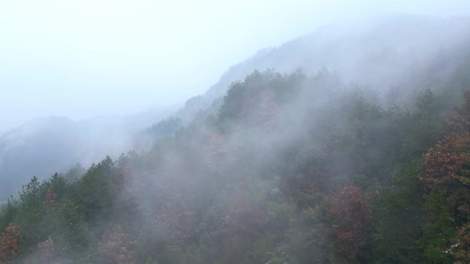 航拍云海山川森林云大山风景云海云雾风光