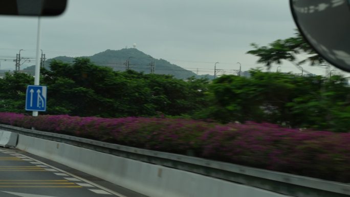 接机 路上 一路繁花  汽车 去飞机场