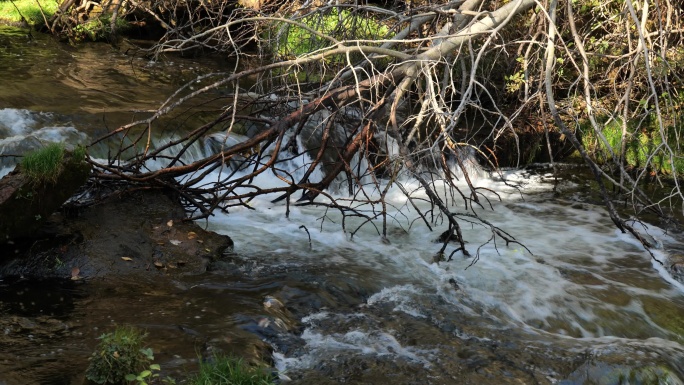 大山里流动的河水