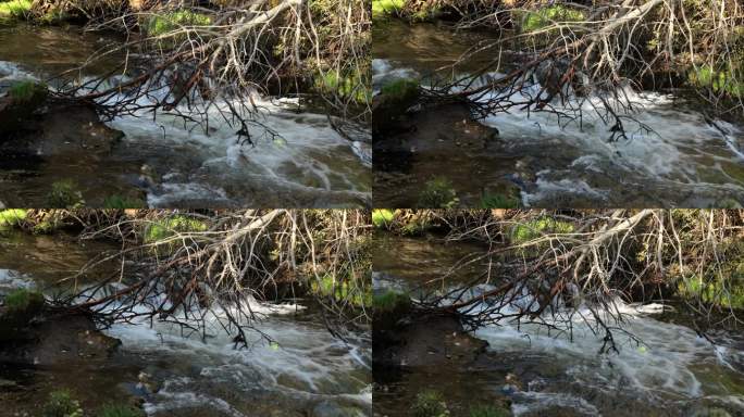 大山里流动的河水