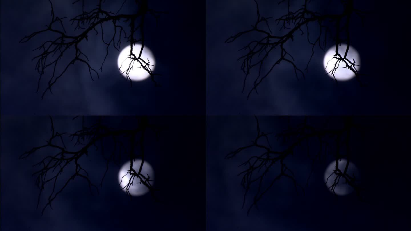 树枝后的圆月乌云飘过月亮