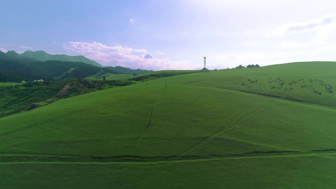 草原山坡