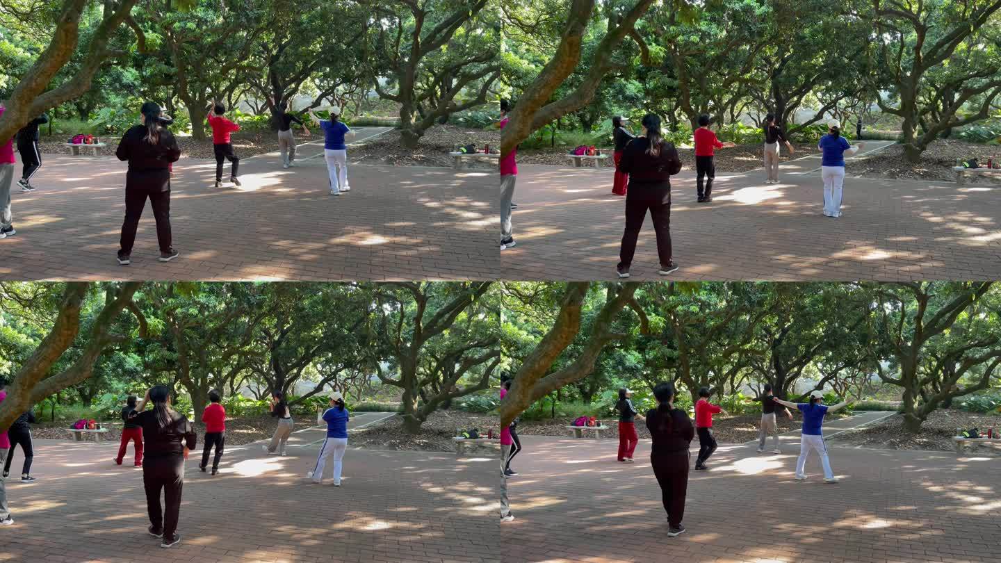 荔林公园里的广场舞健身操