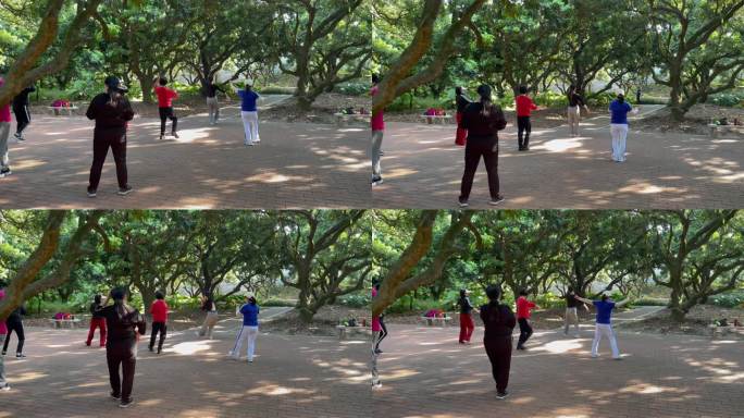 荔林公园里的广场舞健身操