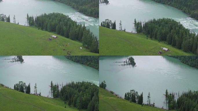 航拍夏季新疆喀纳斯卧龙湾风景