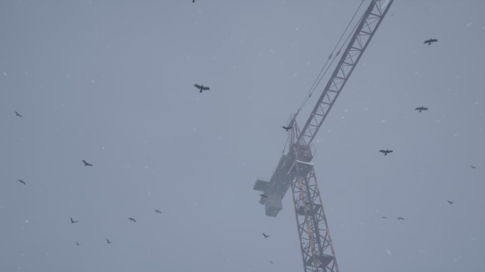 4k雪天飞鸟吊车空境