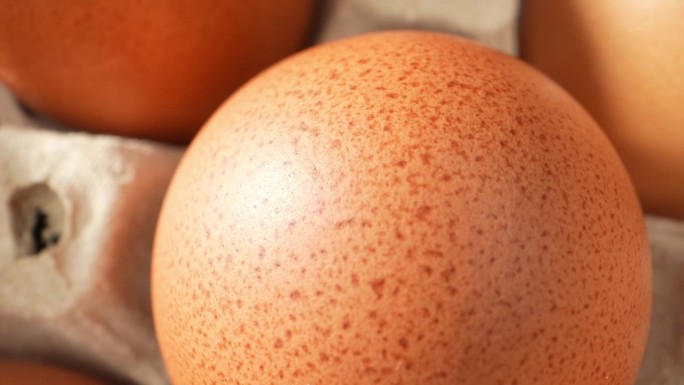 宏观视频中，新鲜的鸡蛋陈列在纸盘里。