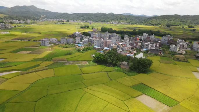 田园航拍