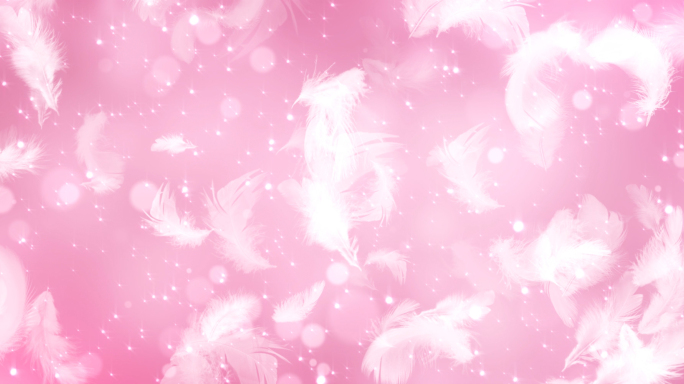 粉色浪漫羽毛背景
