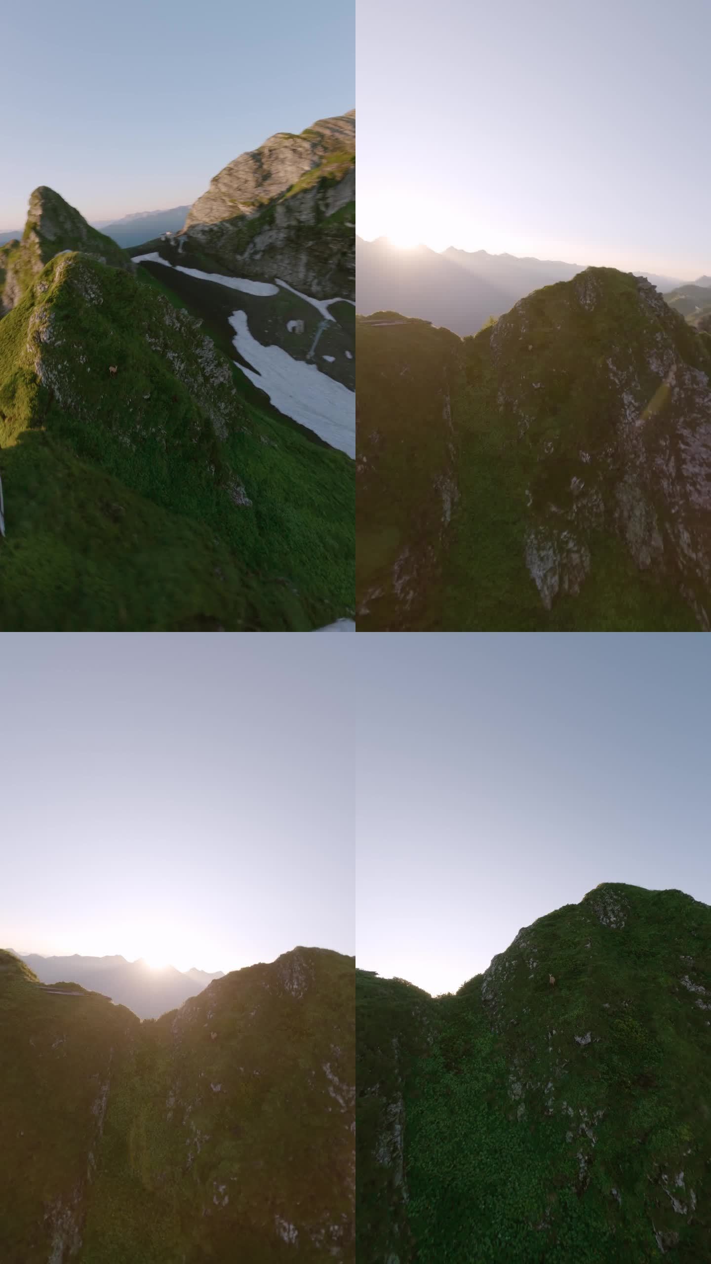 垂直视频。鸟瞰阳光明媚的山脉山谷高山山羊野生动物