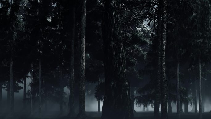 树林背景视频