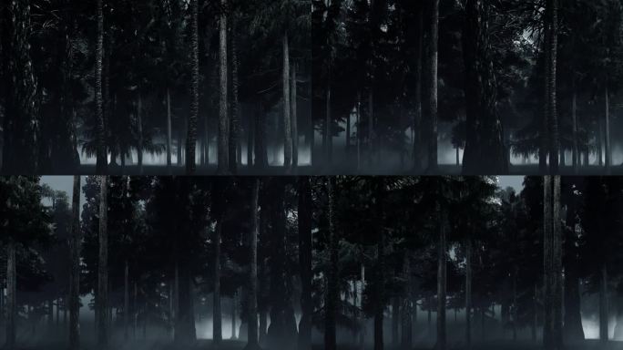树林背景视频
