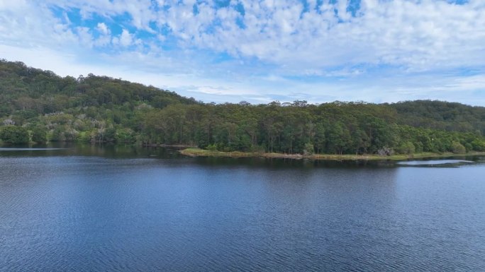 从博伦巴湖上空俯瞰澳大利亚神秘茂密的桉树林
