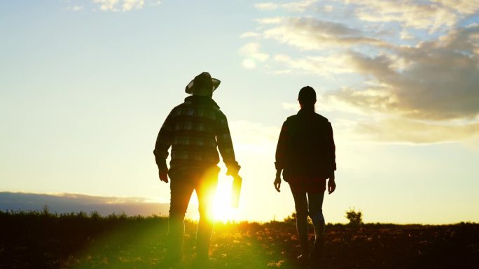一群农民。夕阳西下，两个农民在犁地上向前走。农学家在日落时分讨论收成。农业的概念。农民的团队合作。