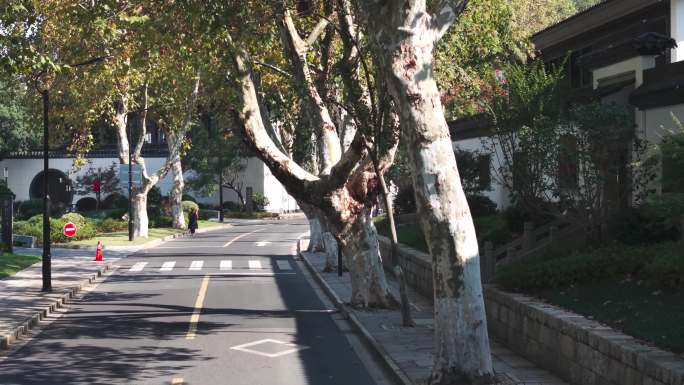 马路航拍 小区 行人 景区 马路 4k