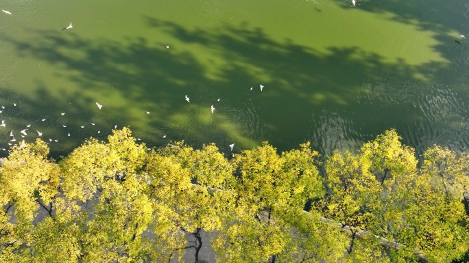秋天时的昆明翠湖公园