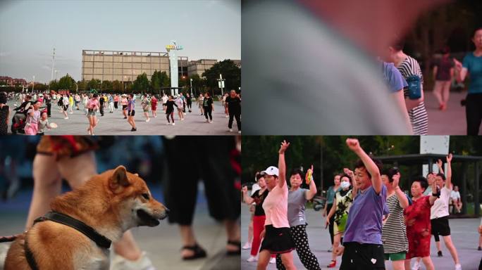 夏日 广场舞 悠闲 宠物 全民健身 活动