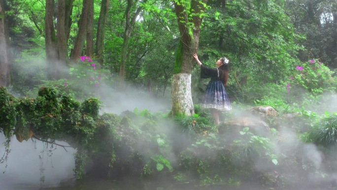 洛丽塔女生武汉植物园迷雾丛林漫步赏花成片
