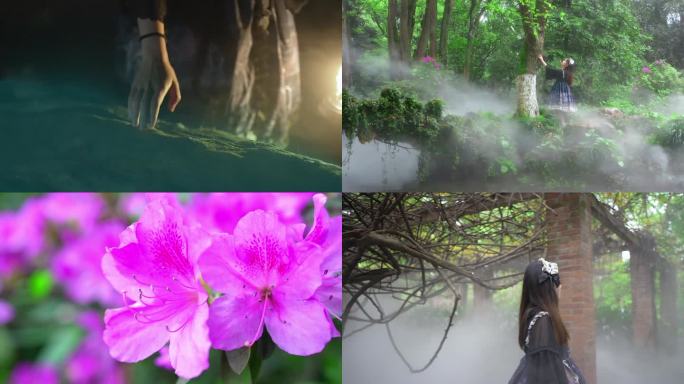 洛丽塔女生武汉植物园迷雾丛林漫步赏花成片
