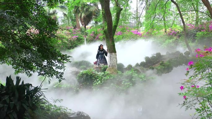 洛丽塔女生在武汉植物园迷雾森林中漫步
