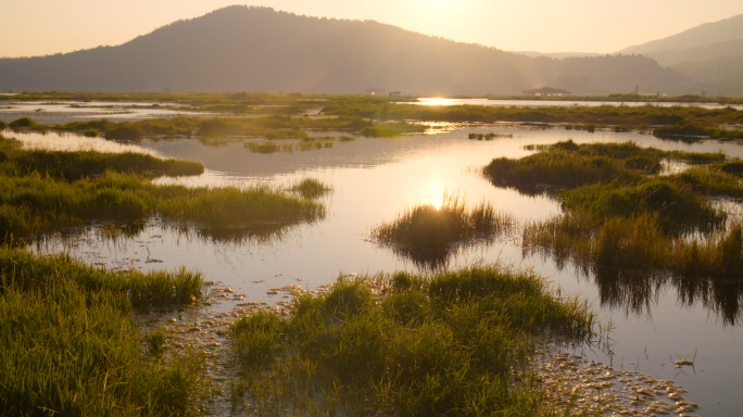 湿地公园 腾冲北海湿地 北海湿地