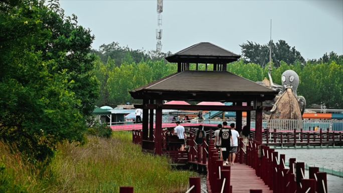 夏日 海边 亲子游 暑假 人文生活 游乐