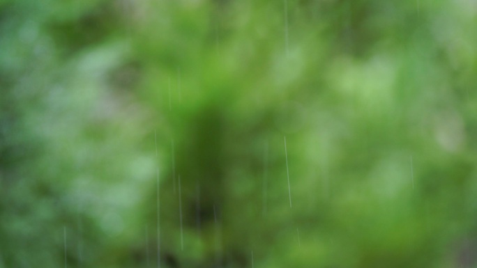 春天绿色背景的雨丝