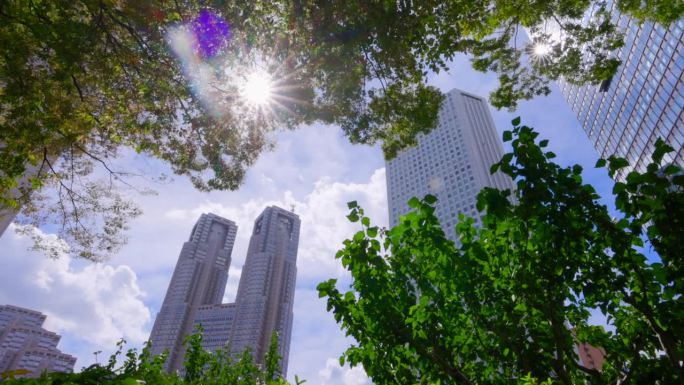 西新宿的高层建筑有着美丽清新的绿色植物