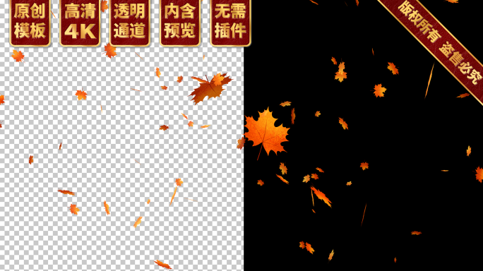 枫叶下落 4K模板