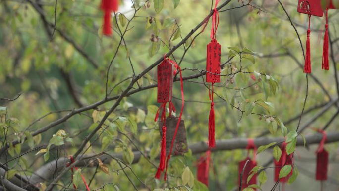 扬州大明寺树上的祈福许愿牌