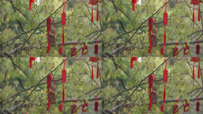 扬州大明寺树上的祈福许愿牌
