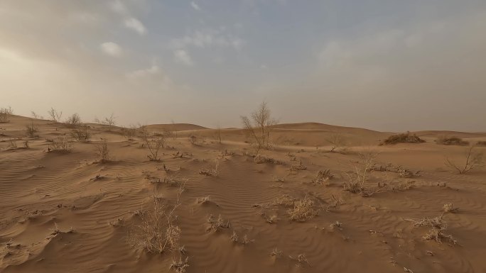 风中的沙漠移动速度