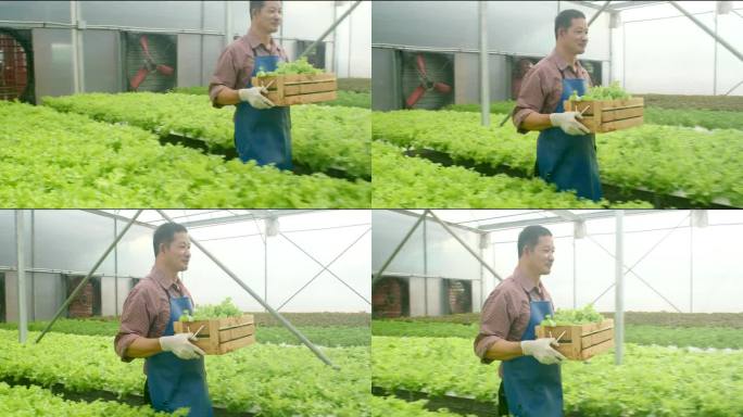泰国亚洲农民手持木篮子和幸福