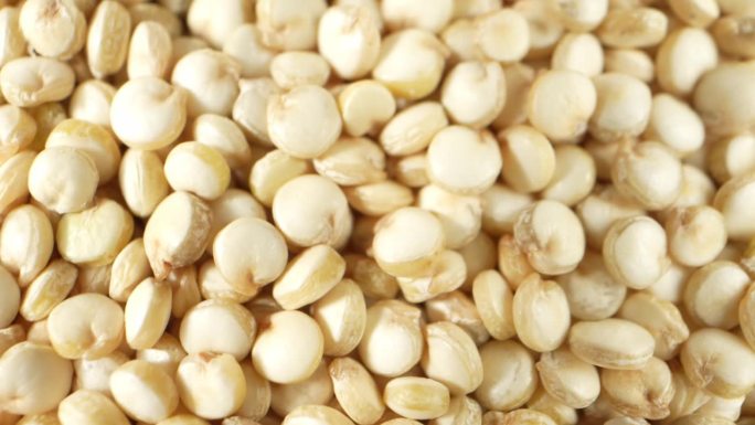 白藜麦是一种营养丰富的种子，富含蛋白质和纤维