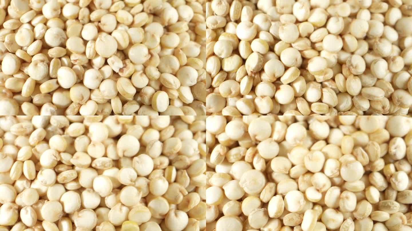 白藜麦是一种营养丰富的种子，富含蛋白质和纤维