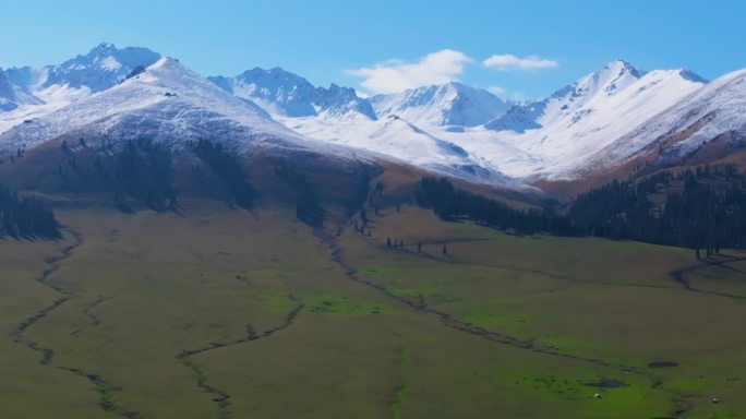 航拍新疆伊犁那拉提空中草原的雪山草地森林