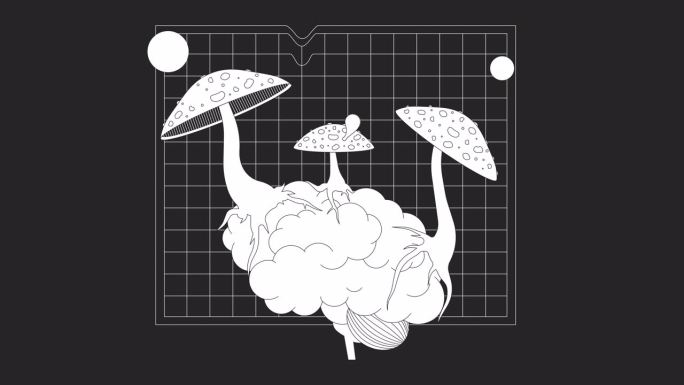蘑菇飞木耳生长在脑bw轮廓2D动画
